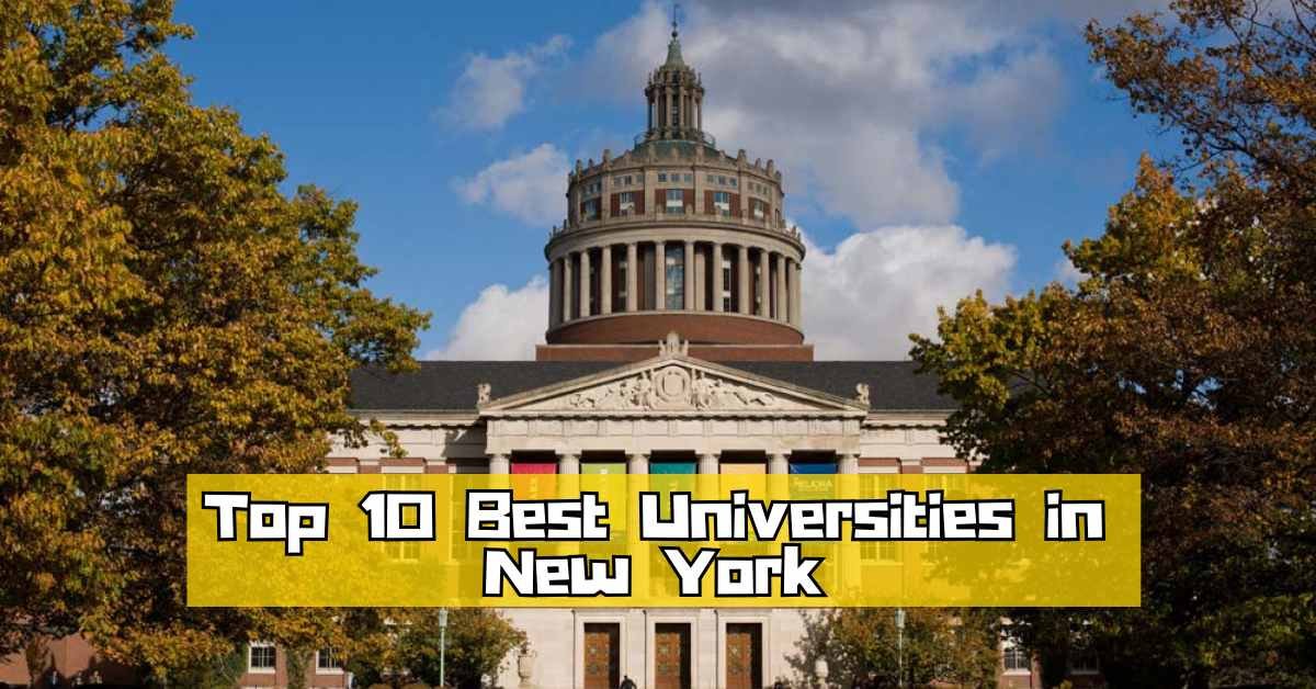 Universities in New York